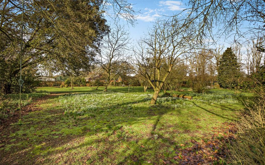Grounds