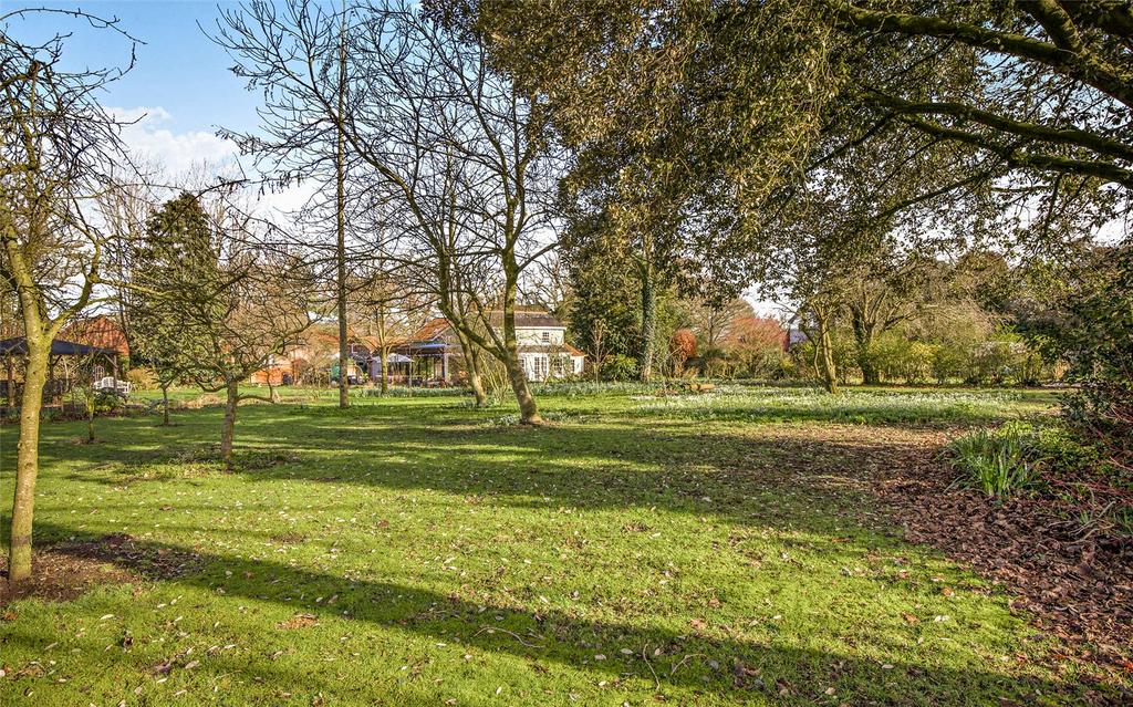 Grounds