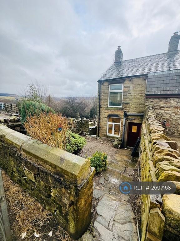 Rear Garden Area