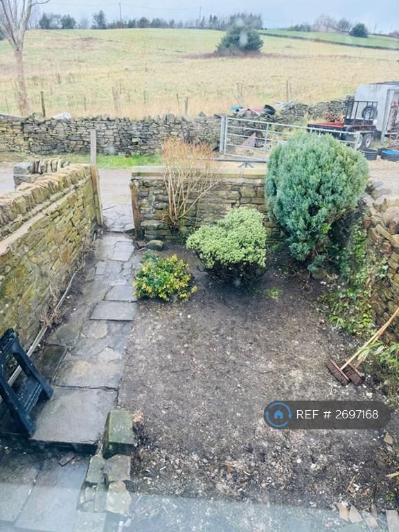 Front Garden Area