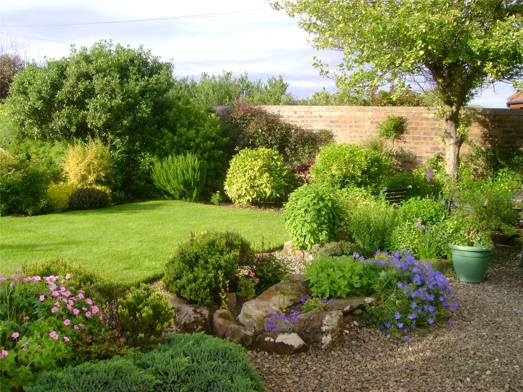 Garden In Summer