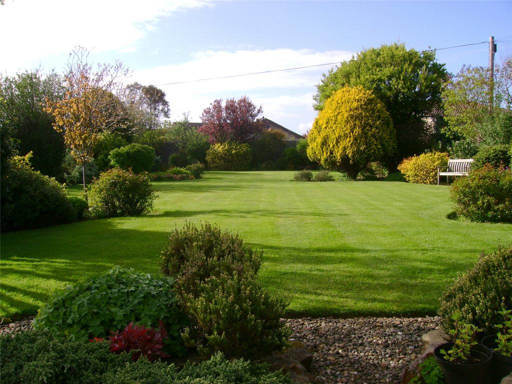 Garden In Summer
