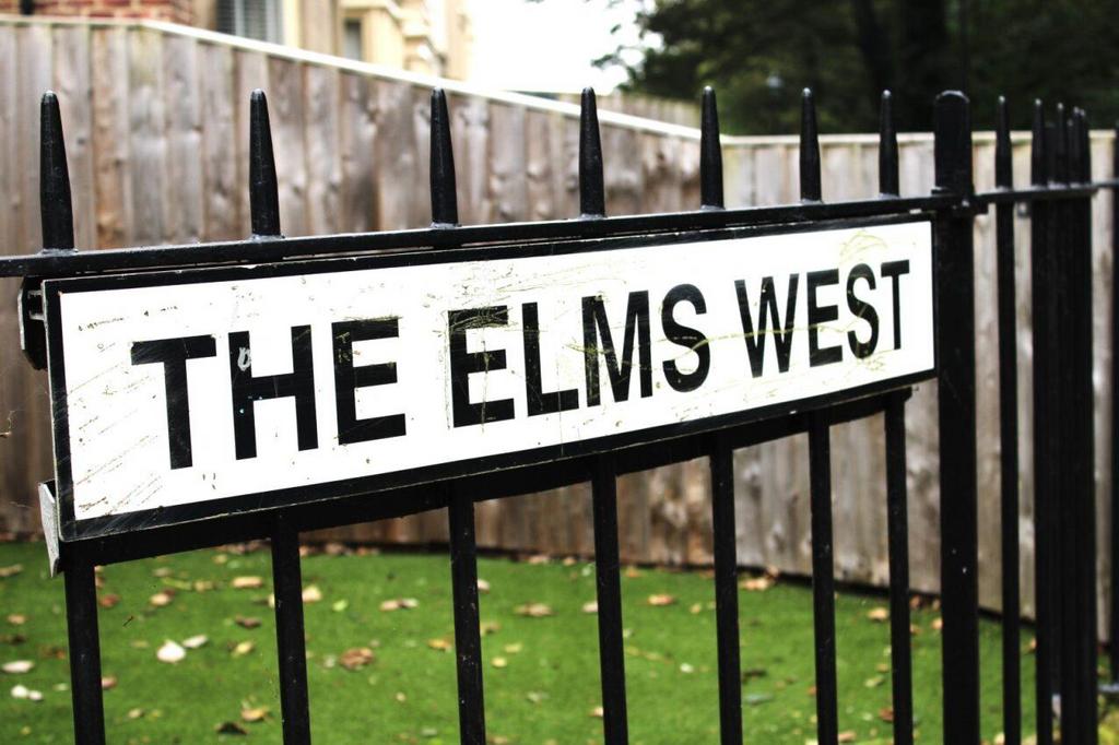 The elms.jpg