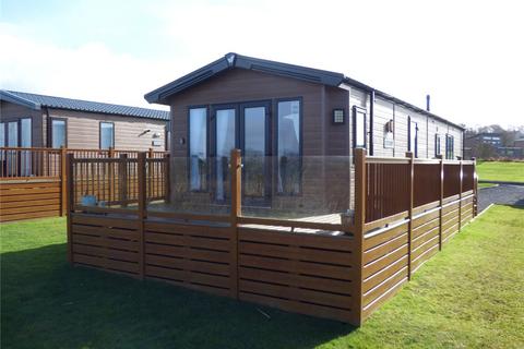undefined, Parc Morlais, Ceredigion SY23