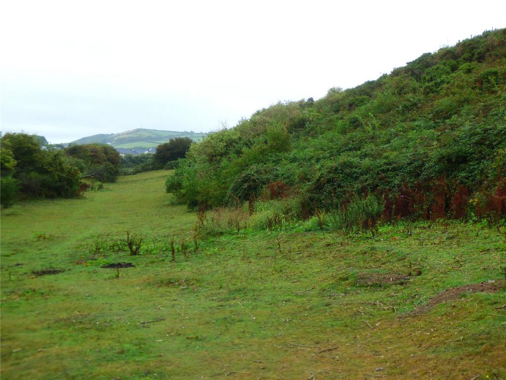 Picture No. 18