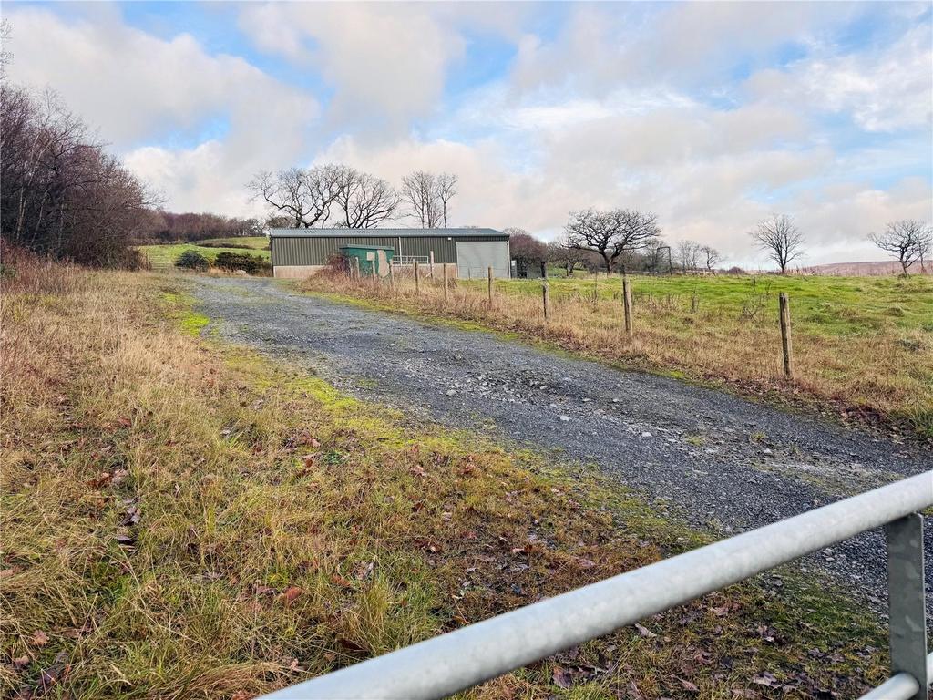 Picture No. 02
