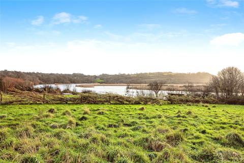 undefined, Side Of Fronteifi, Cardigan SA43