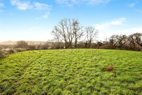 undefined, Side Of Fronteifi, Cardigan SA43