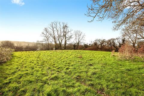 undefined, Side Of Fronteifi, Cardigan SA43