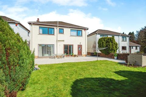 undefined, Brynderwen, Carmarthenshire SA31