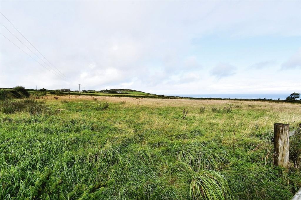 Picture No. 15