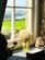 Additional image 21 of Whitesands, Haverfordwest SA62