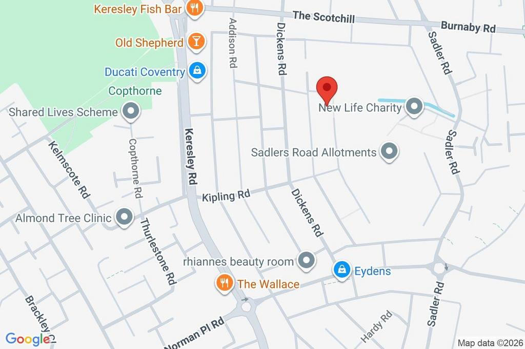 Google Maps Image