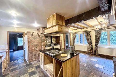 undefined, Tranwell Woods, Tranwell Woods, Morpeth, Northumberland, NE61 6AG