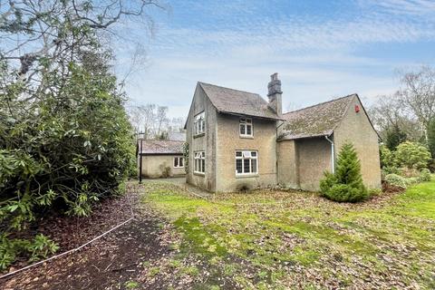 Tranwell Woods, Tranwell Woods, Morpeth, Northumberland, NE61 6AG