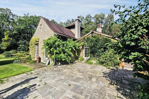 undefined, Tranwell Woods, Tranwell Woods, Morpeth, Northumberland, NE61 6AG