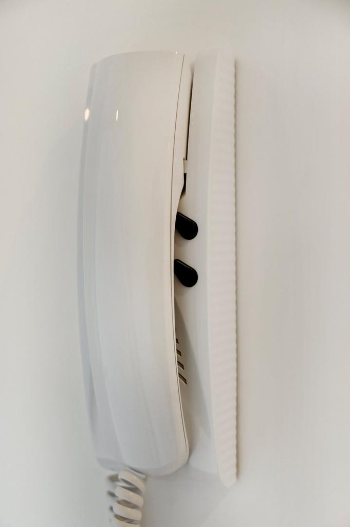 Picture No. 11
