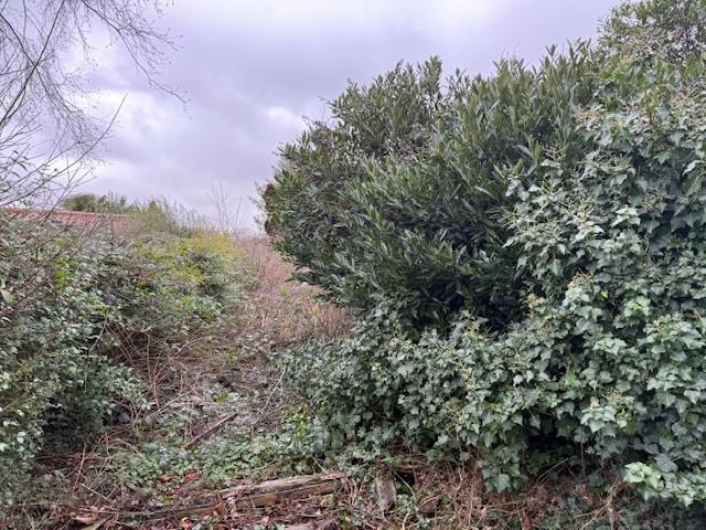N T202602152148.jpg