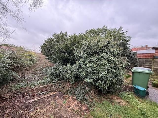 O T202602152148.jpg