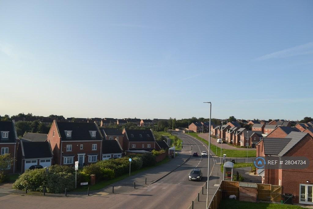 View 1