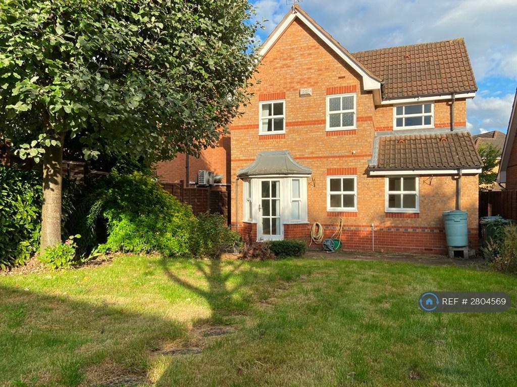 Back Garden