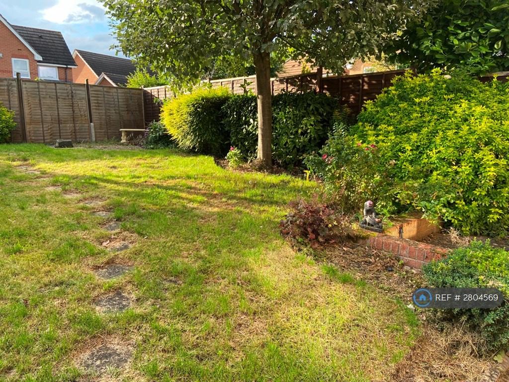 Back Garden
