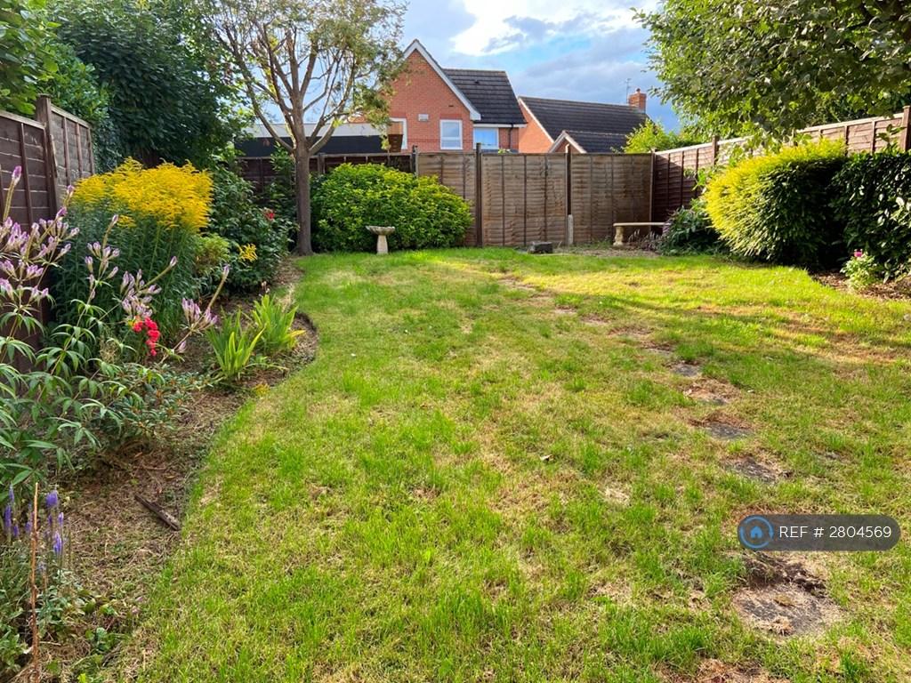 Back Garden