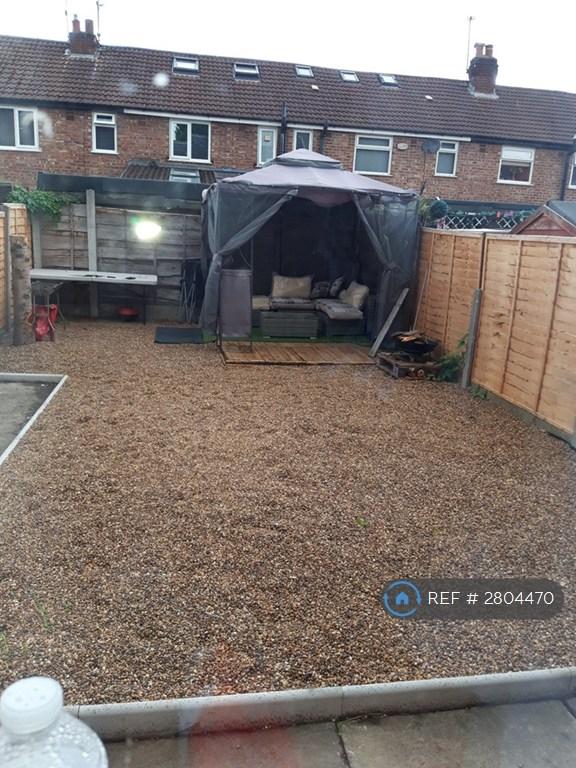 Back Garden