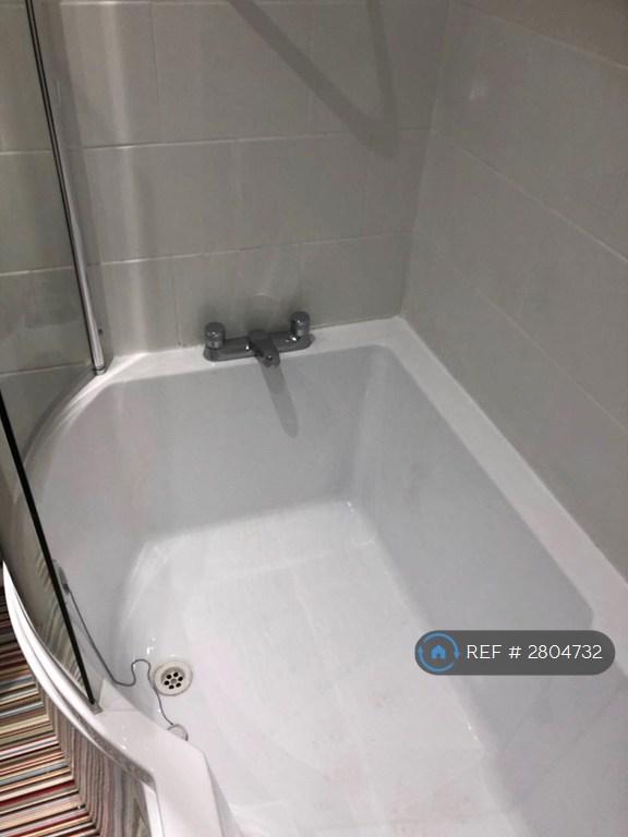 P Shaped Bath And Shower