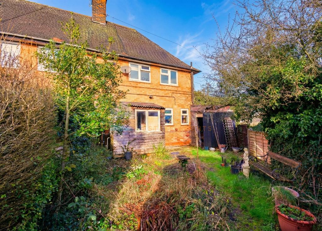 4. Back Garden 2