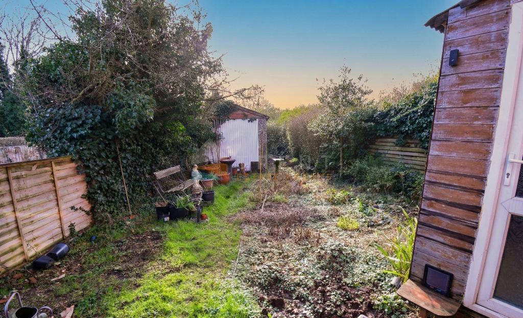 3. Back Garden