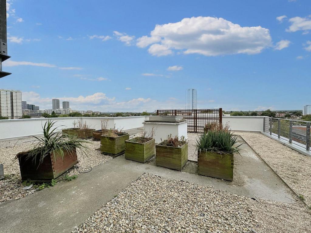 Communal Terrace