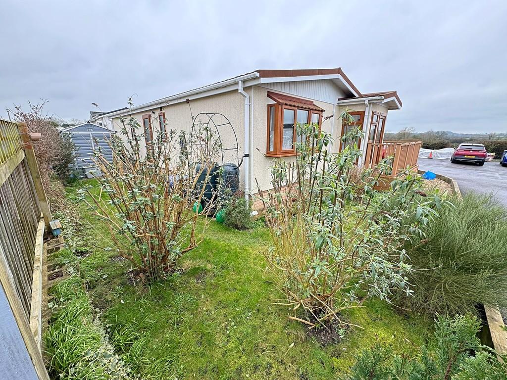 Side and rear garden