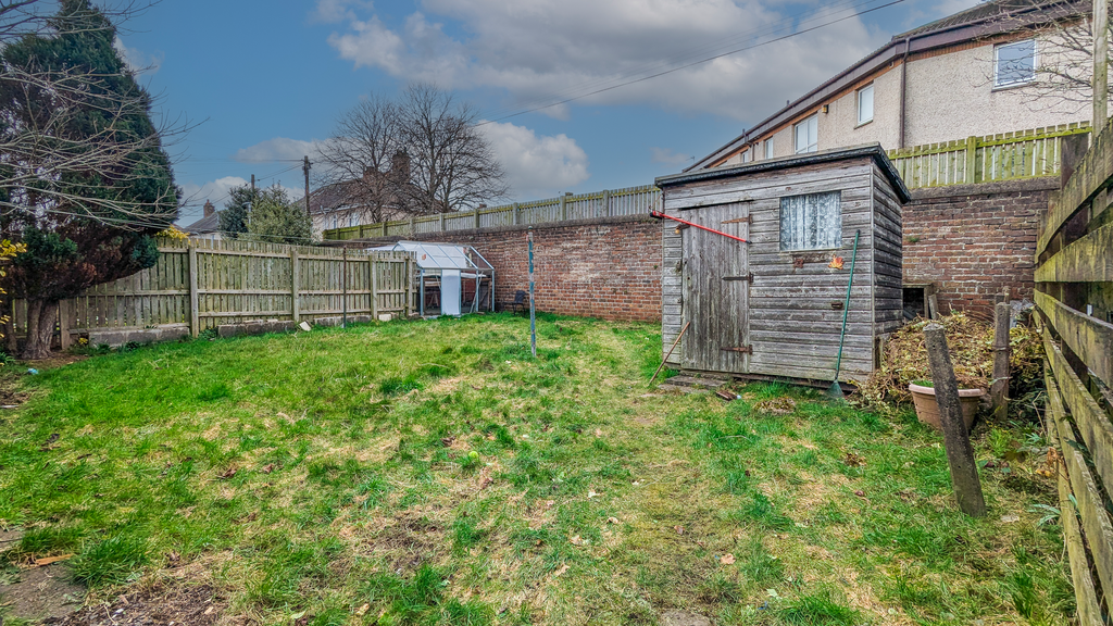 Back garden