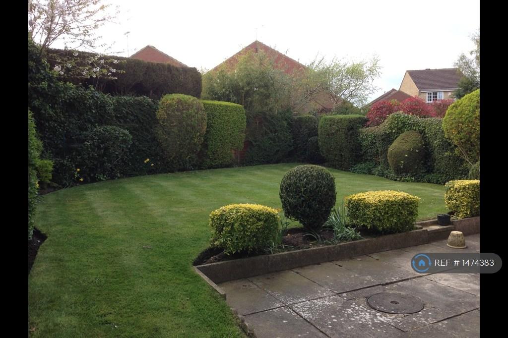 Back Garden