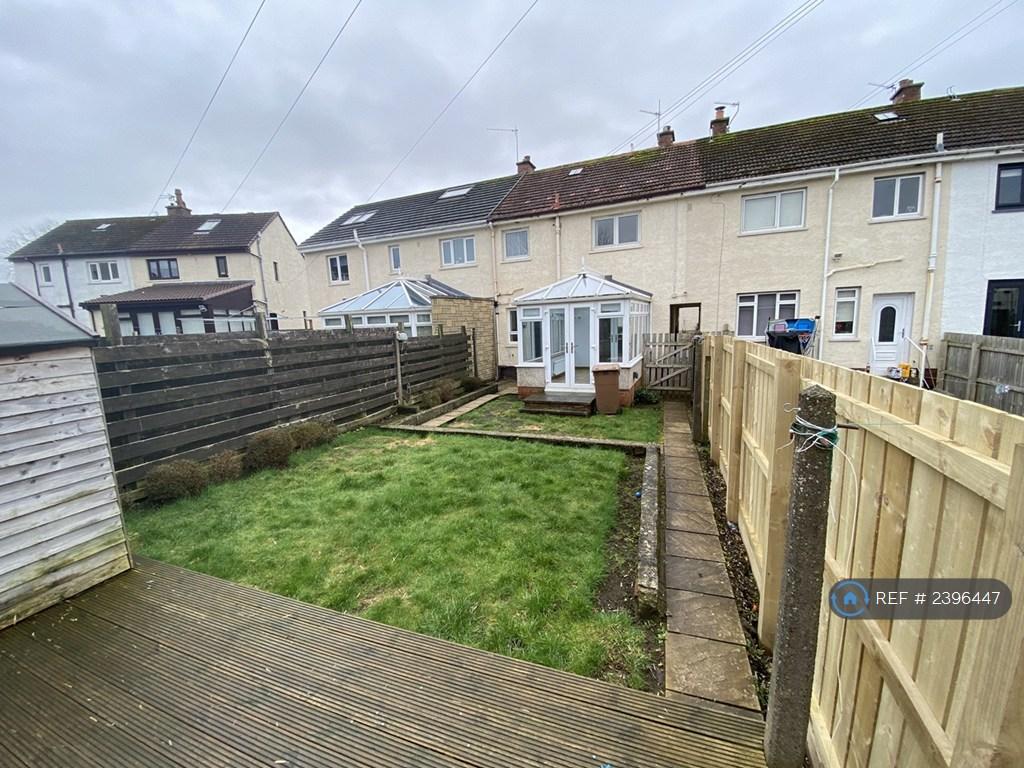 Back Garden
