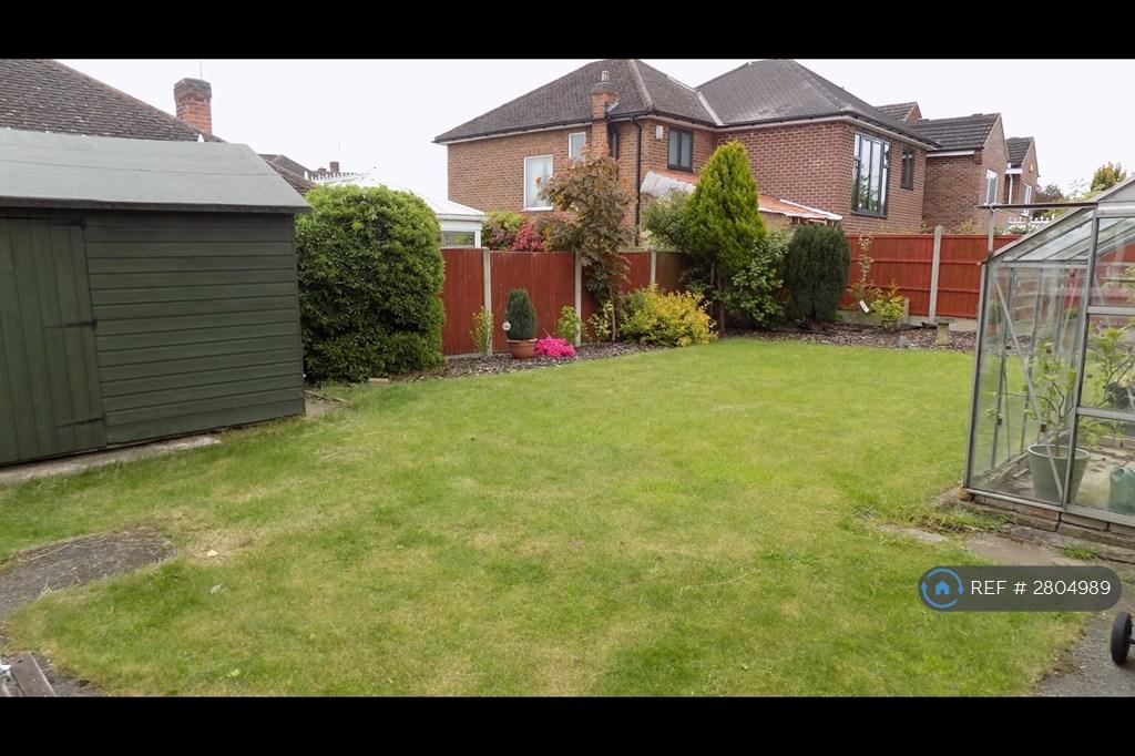 South Facing Garden