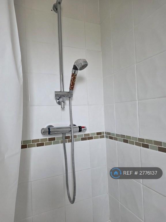 Electric Shower