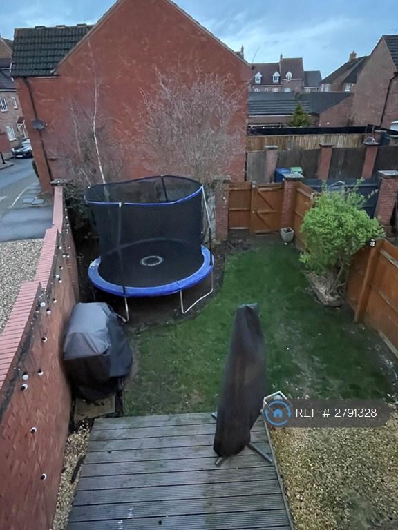Backgarden
