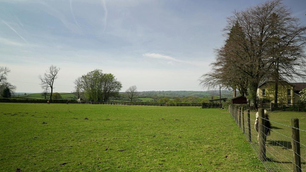 Pasture Fields