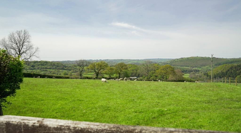 Pasture Fields