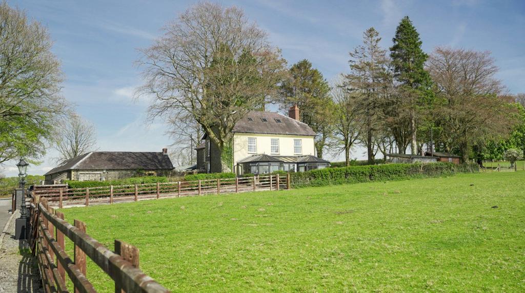 Picture No. 67