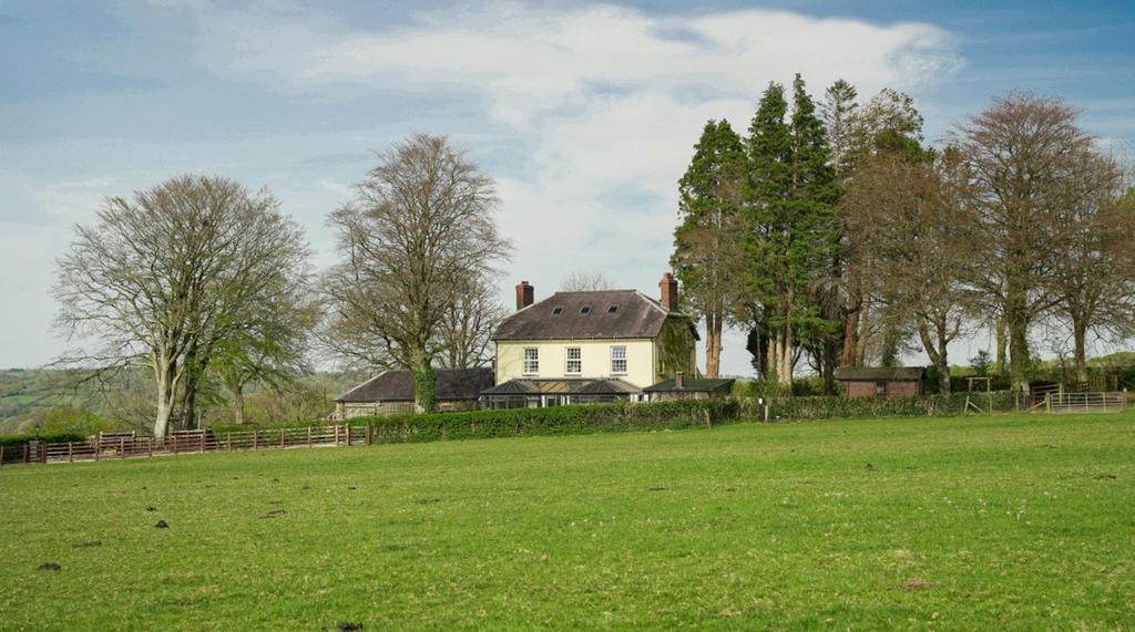 Pasture Fields