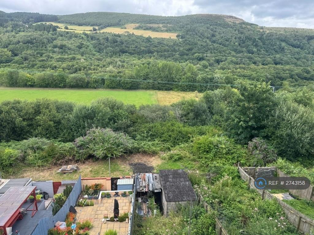 View From Top Back Window