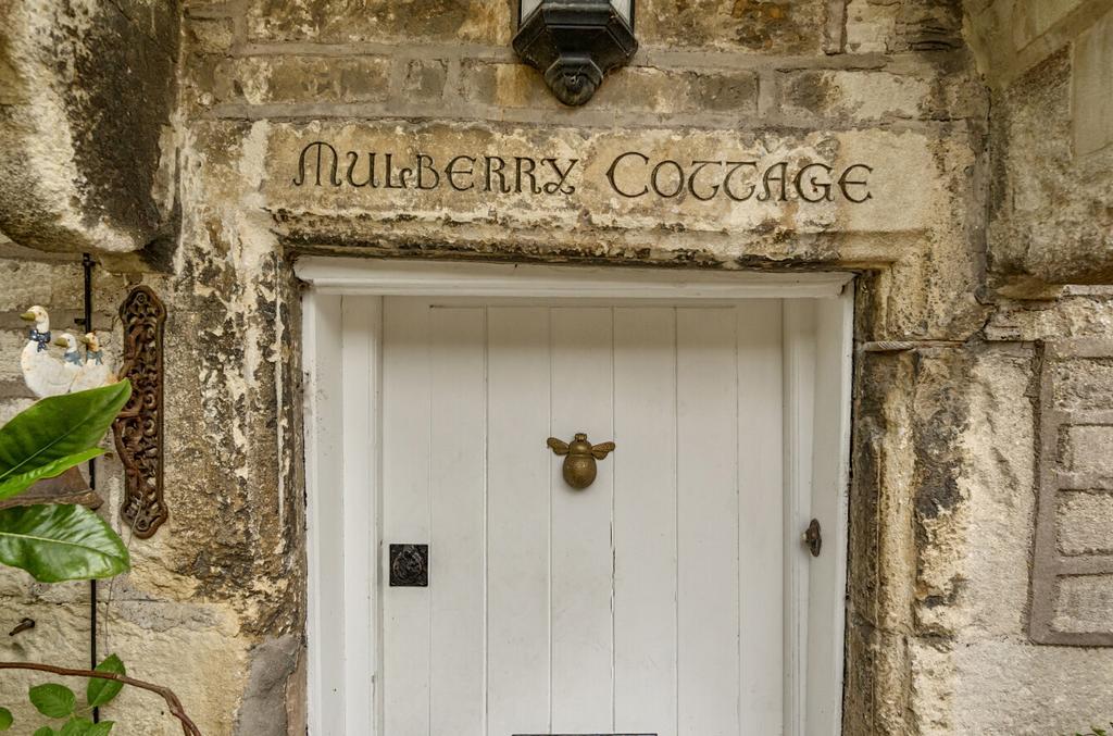 Picture 21