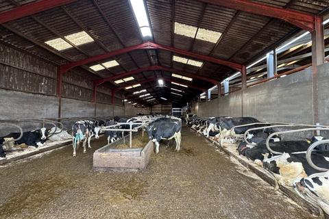 Property for sale, Cwmisfael, Carmarthen SA32