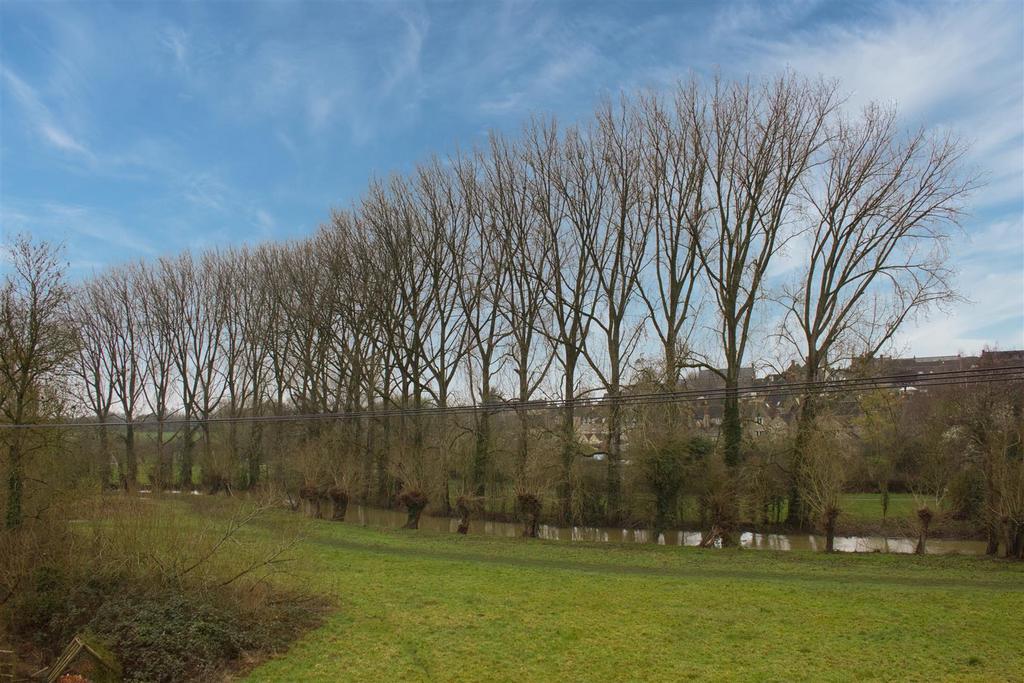 Water Meadow view