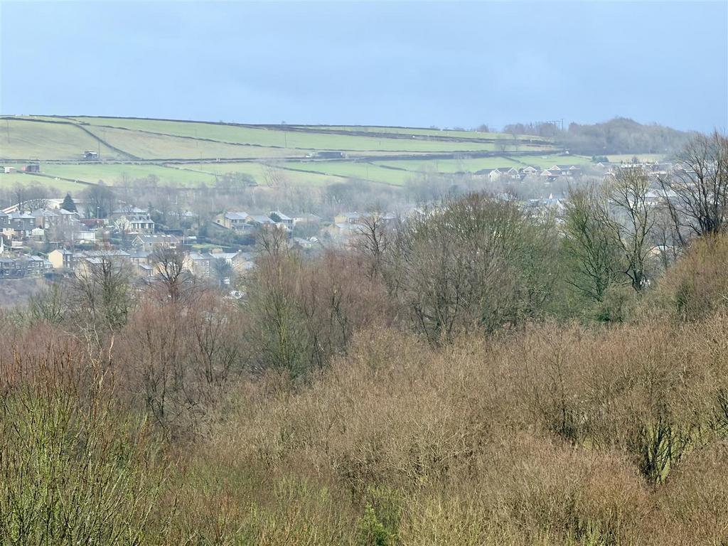 Rooftop views