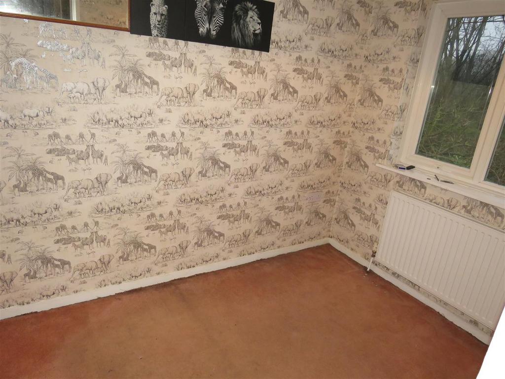 Img 1595.jpg