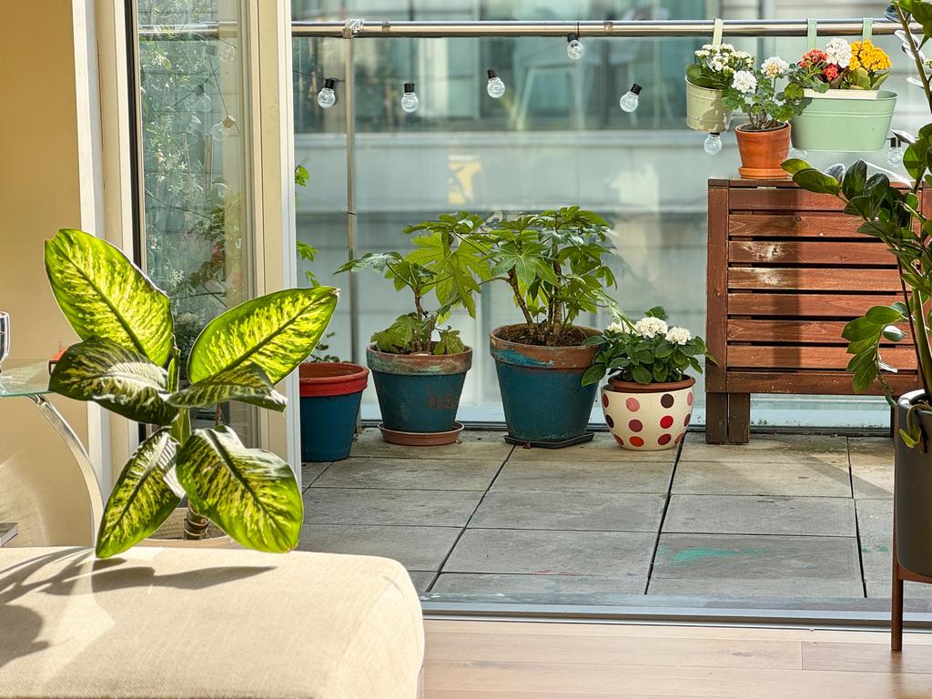 9 Acton Balcony2.jpg